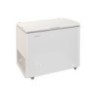 FREEZER TRIAL BLANCO 295 LT - BRIKET